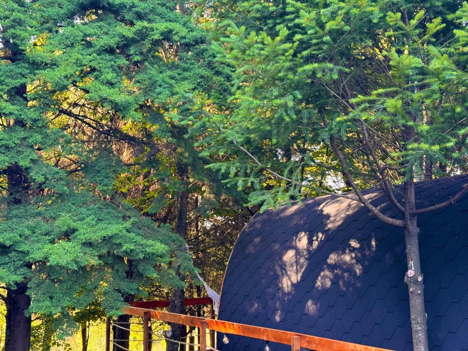 Glicinia Boutique Hotel Freamunde Ngoại thất bức ảnh
